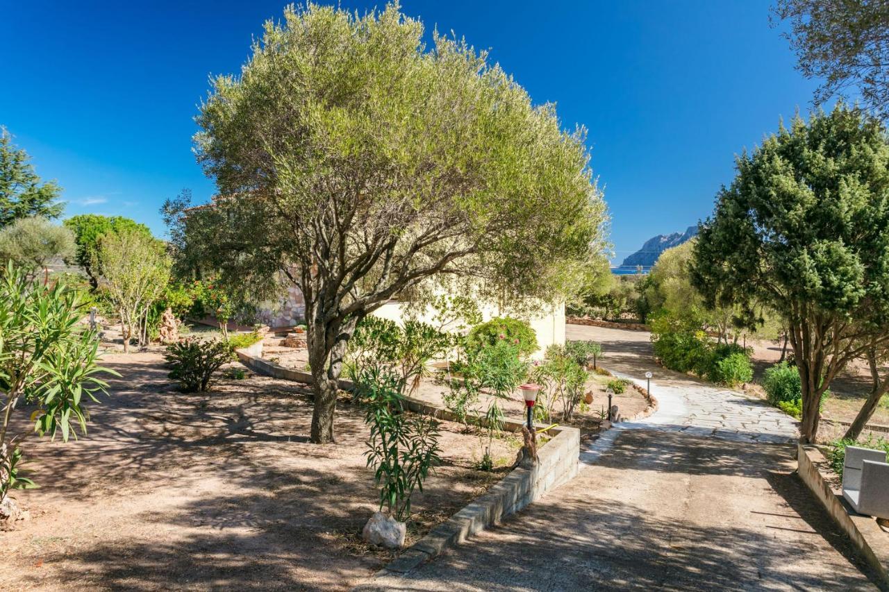 Appartamento Casa Relax Porto San Paolo  Esterno foto